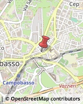 Consulenza Commerciale Campobasso,86100Campobasso