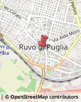 Musei e Pinacoteche Ruvo di Puglia,70037Bari