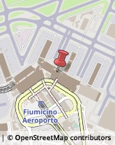 Istituti Finanziari Fiumicino,00054Roma