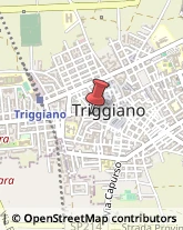 Caldaie per Riscaldamento Triggiano,70019Bari