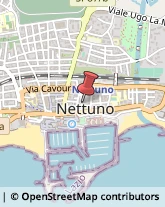 Studi Consulenza - Ecologia Nettuno,00048Roma