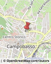 Consulenza Informatica Campobasso,86100Campobasso