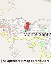 Piante e Fiori - Dettaglio Monte Sant'Angelo,71037Foggia