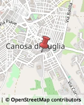 Scuole e Corsi di Lingua,76012Barletta-Andria-Trani