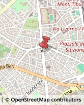 Viale delle Provincie, 2,00162Roma