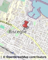 Occhiali - Produzione e Ingrosso Bisceglie,76011Barletta-Andria-Trani