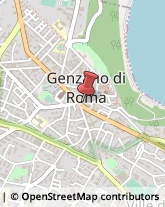 Fotografia Materiali e Apparecchi - Produzione e Ingrosso Genzano di Roma,00045Roma