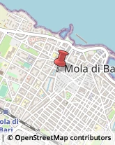 Ortofrutticoltura Mola di Bari,70042Bari