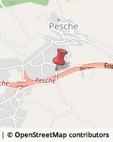 Pelletterie - Ingrosso e Produzione Pesche,86090Isernia