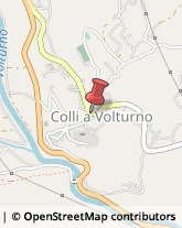Piante e Fiori - Dettaglio Colli a Volturno,86073Isernia