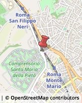 Aziende Sanitarie Locali (ASL) Roma,00135Roma
