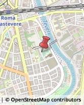 Vini e Spumanti - Produzione e Ingrosso Roma,00146Roma