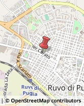 Ponteggi Edilizia Ruvo di Puglia,70037Bari