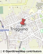 Locali, Birrerie e Pub Triggiano,70019Bari