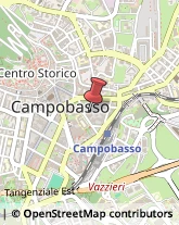 Scuole e Corsi di Lingua,86100Campobasso