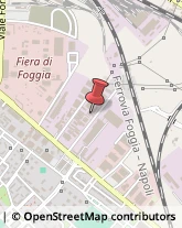 Elettrauto,71121Foggia