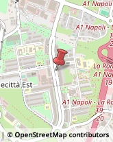 Podologia - Studi e Centri Roma,00173Roma