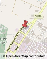 Fibbie Foggia,71121Foggia