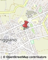 Locali, Birrerie e Pub Triggiano,70019Bari