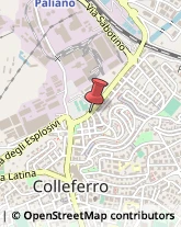 Aziende Agricole Colleferro,00034Roma