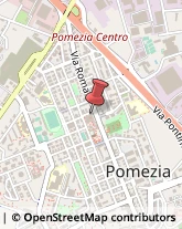 Piante e Fiori - Ingrosso Pomezia,00071Roma