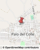 Ortofrutticoltura Palo del Colle,70027Bari