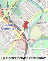 Consulenza Commerciale,00141Roma