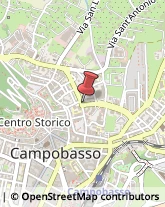 Trasporto Pubblico,86100Campobasso