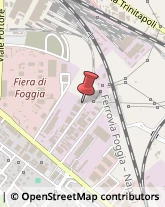 Articoli da Regalo - Produzione e Ingrosso Foggia,71122Foggia