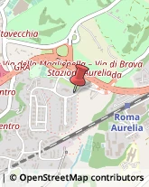 Traduttori ed Interpreti,00165Roma