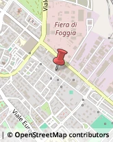 Pedagogia - Studi e Centri Foggia,71122Foggia