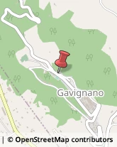 Carabinieri Gavignano,00030Roma