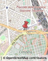 Consulenza Informatica Roma,00162Roma