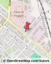 Comuni e Servizi Comunali,71121Foggia