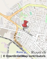 Via Corato, 29,70037Ruvo di Puglia