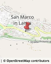 Piante e Fiori - Dettaglio San Marco in Lamis,71014Foggia