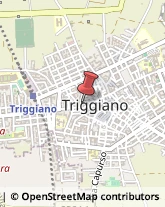 Forni Industriali Triggiano,70019Bari