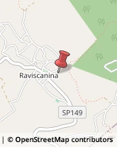 Pediatri - Medici Specialisti Raviscanina,81017Caserta