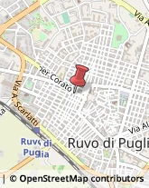 Sartorie Ruvo di Puglia,70037Bari