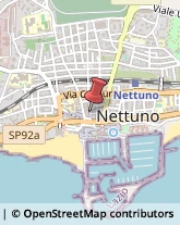 Società di Telecomunicazioni Nettuno,00048Roma