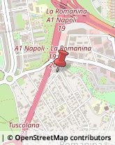 Articoli per Ortopedia Roma,00173Roma