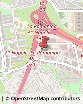 Università ed Istituti Superiori Roma,00173Roma