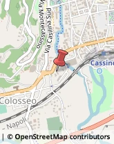 Palestre e Centri Fitness,03043Frosinone