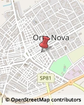 Assicurazioni Orta Nova,71045Foggia