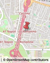 Via Stefano della Bella, 103,00133Roma