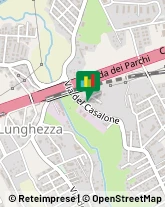 Via del Casalone, 22/24,00132Roma