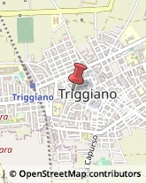 Gelaterie Triggiano,70019Bari