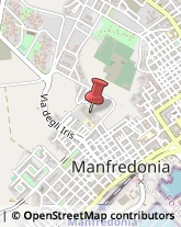 Licei - Scuole Private Manfredonia,71043Foggia