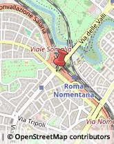 Divani e Poltrone - Produzione e Ingrosso Roma,00199Roma