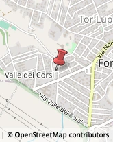 Vetrai Fonte Nuova,00013Roma